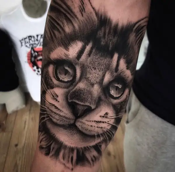 Cara de gato de ojos grandes, en realismo en negro y grises en el antebrazo.