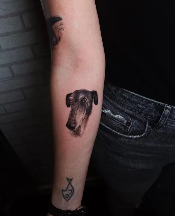 Cabeza de galgo, pequeña, en microrrealismo en el antebrazo.
