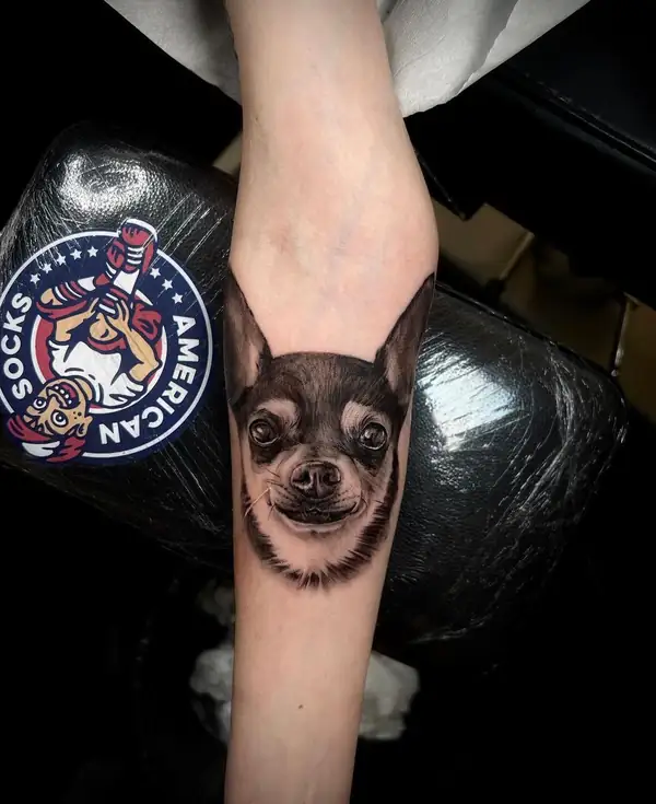 Un chihuahua pequeño, en microrrealismo en el antebrazo.