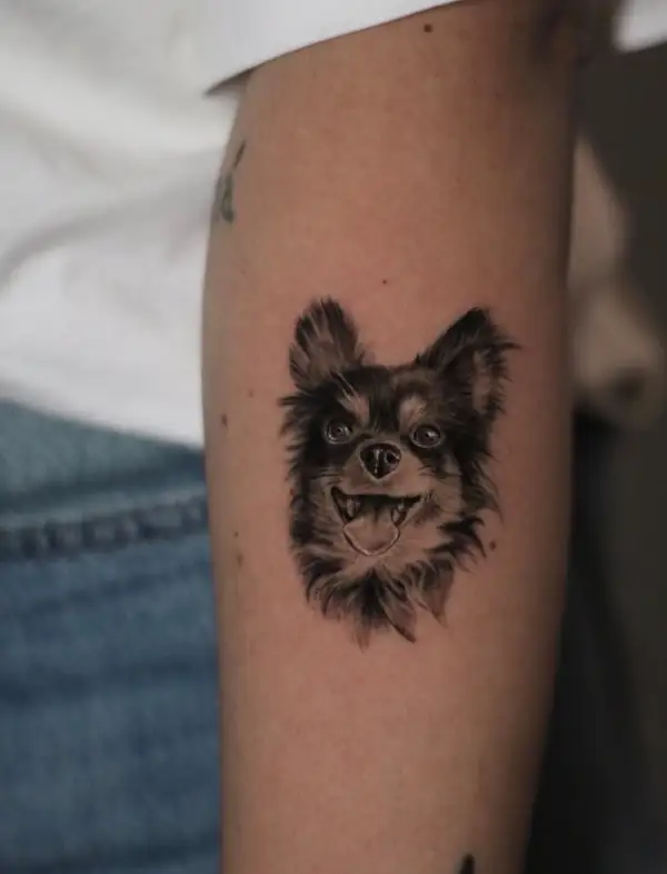 El mismo perro pequeño de pelo largo, visto de frente, en microrrealismo.