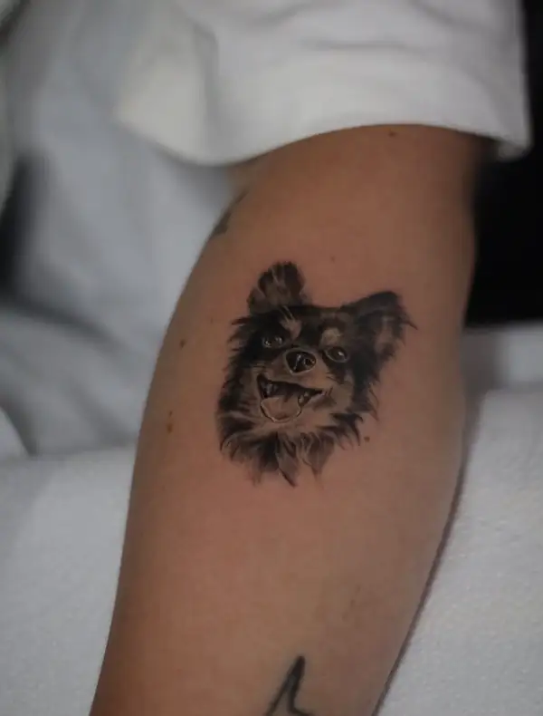 Perro pequeño de pelo largo, sonriendo, en microrrealismo en la pierna.