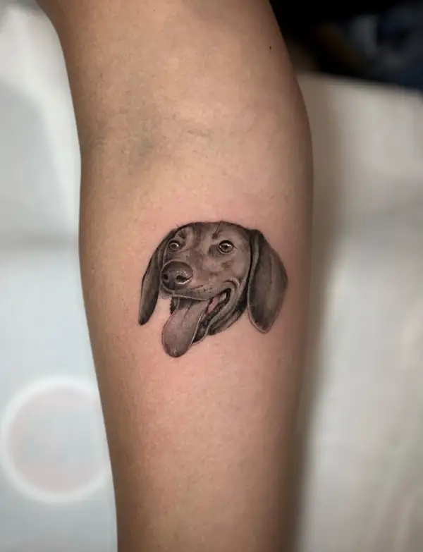 Teckel con la lengua fuera, pequeño, en microrrealismo.