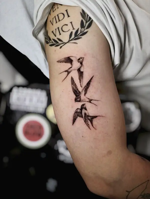 Golondrinas en vuelo en puntillismo, bajo la frase «Veni vidi vici», en el brazo.