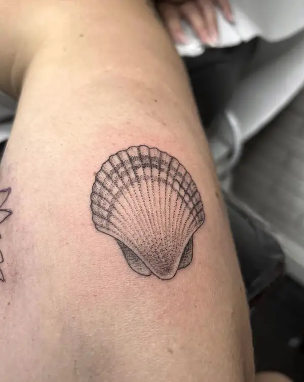 Una concha de vieira en línea fina y punteado en el brazo.