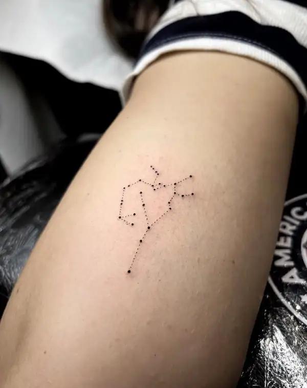 Una constelación de puntos unidos por líneas finas, en el antebrazo.