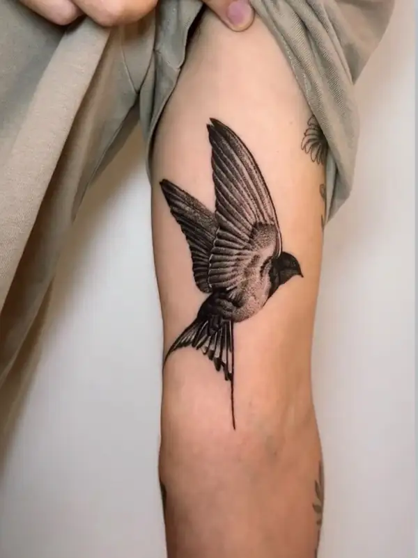 La misma golondrina en puntillismo, vista de lado.
