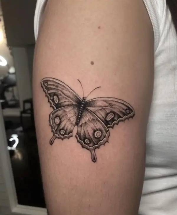Mariposa con las alas abiertas en línea fina y sombra punteada, en el brazo.
