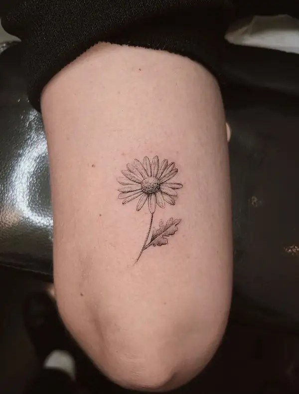 Una margarita en línea fina en el brazo.