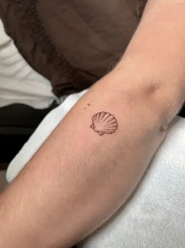 Una concha de vieira pequeña en línea fina, en el antebrazo.